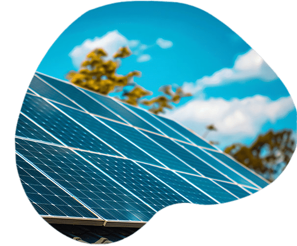 pulizia-pannelli-home